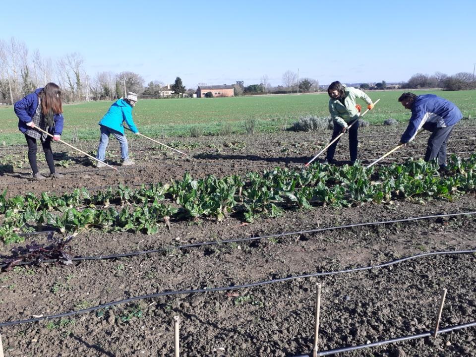 Jardiniers Pradel